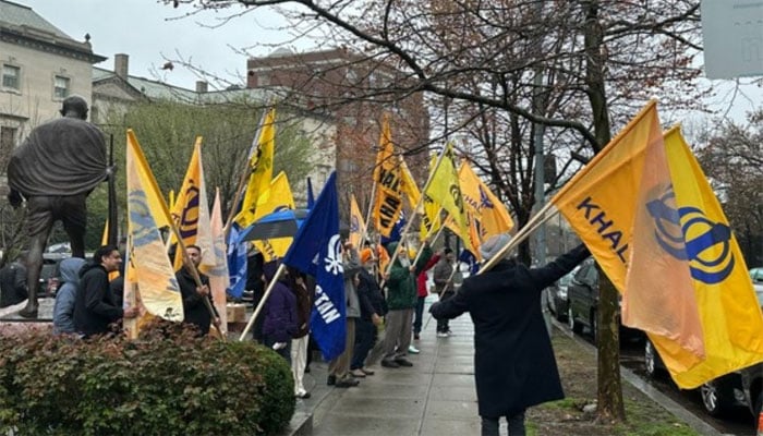 تصویر سوشل میڈیا۔