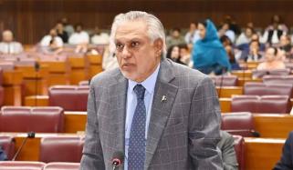 آئینی عدالت سے متعلق میثاقِ جمہوریت کی تجویز پر بانی پی ٹی آئی کے دستخط بھی موجود ہیں، اسحاق ڈار