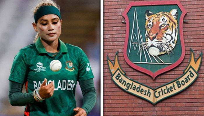 ---فائل فوٹوز