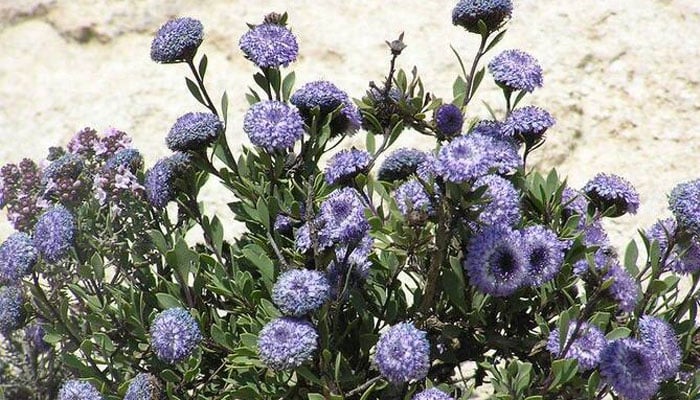 — فائل فوٹو