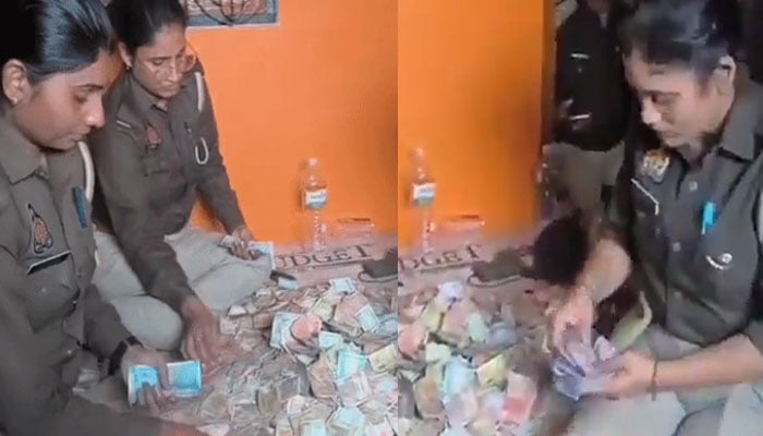 فوٹو: اسکرین گریب