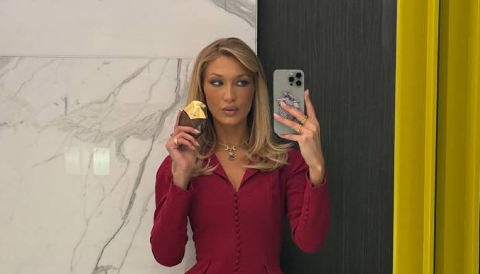 Bella Hadid takes her career to new heights with exciting new announcement