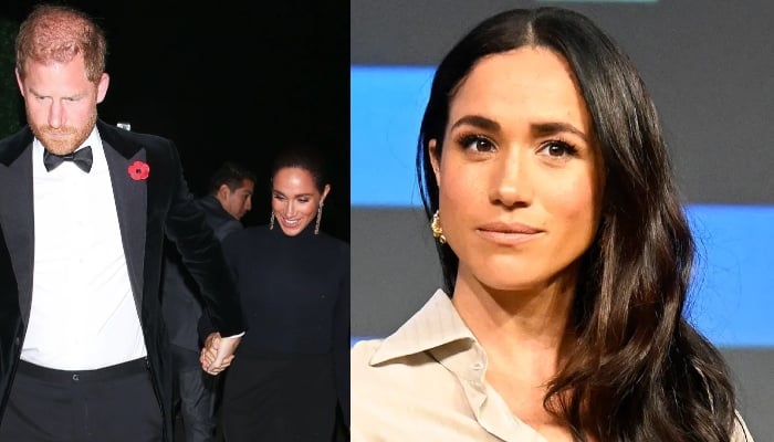 Meghan Markle under fire for ditching remembrance poppy at key outings