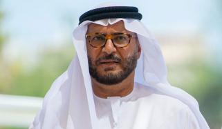 متحدہ عرب امارات غزہ اسٹیبلائزیشن فورس میں شامل ہونے کا ارادہ نہیں رکھتا: سینئر اماراتی اہلکار