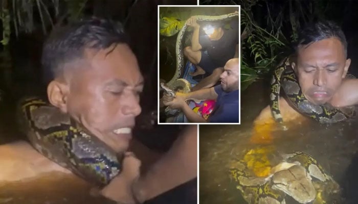 تصویر:بین الاقوامی میڈیا