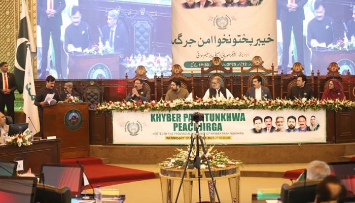 بند کمروں سے نکل کر سیاستدانوں کے ساتھ مل کر فیصلے کرنے ہوں گے: وزیراعلیٰ سہیل آفریدی