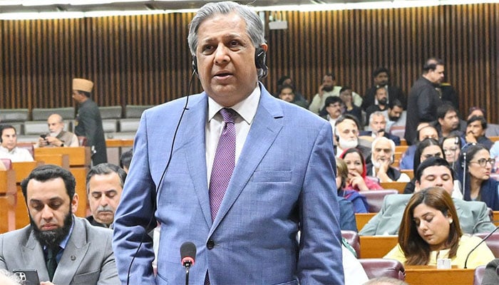 وزیر قانون اعظم نذیر تارڑ : فوٹو فیس بک/ قومی اسمبلی