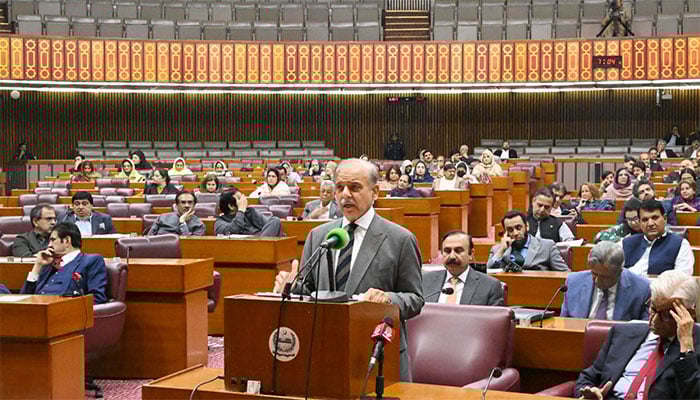 وزیراعظم شہباز شریف : فوٹو فیس بک / قومی اسمبلی