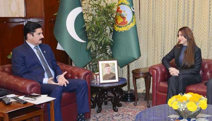 فوٹو: سوشل میڈیا