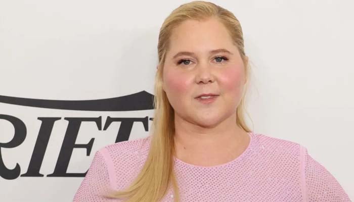 Amy Schumer deletes her Instagram posts and starts fresh with new look