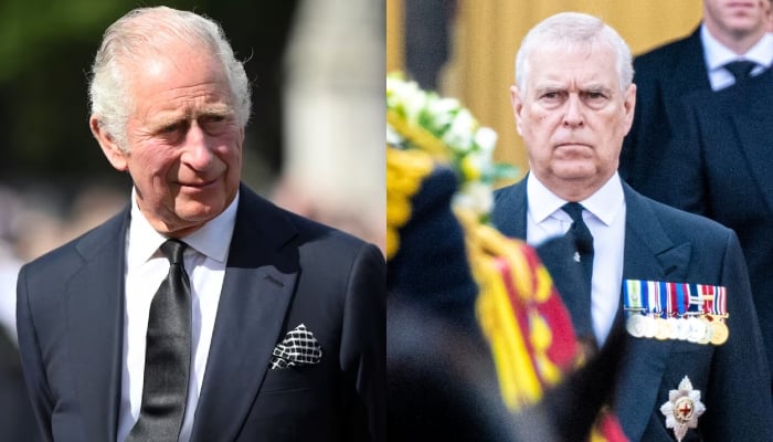 King Charles shares delightful message after Andrew shuts charity