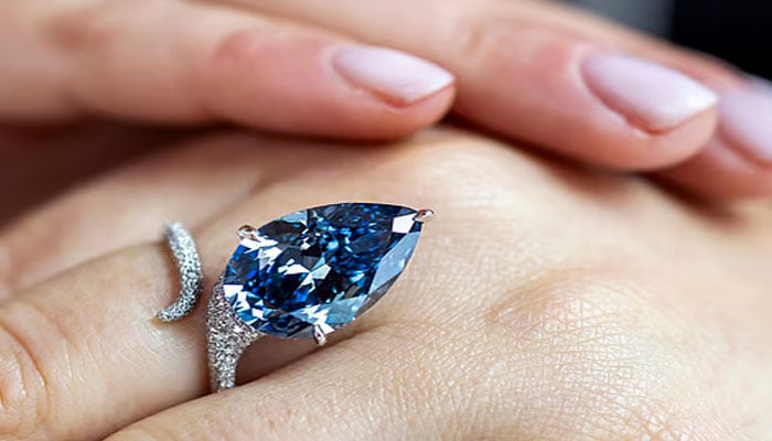 تصویر:بین الاقوامی میڈیا