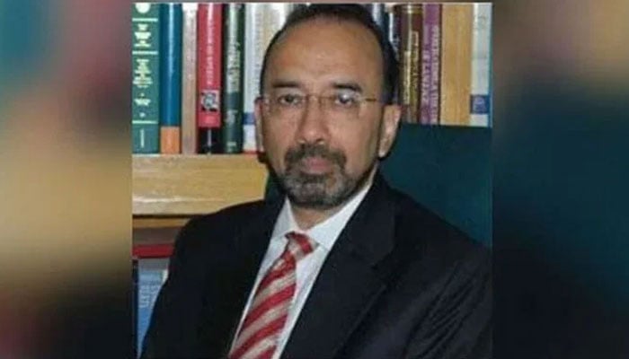 سینئر قانون دان مخدوم علی خان—فائل فوٹو