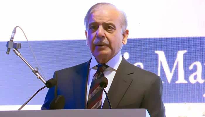 فوٹو: اسکرین گریب