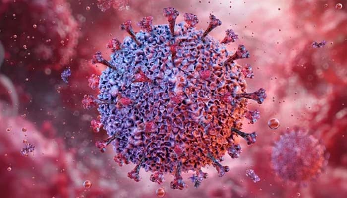 All lupus cases may be associated with common virus, study