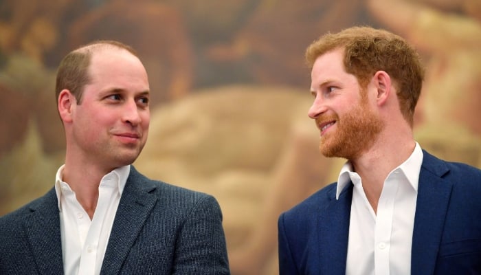 Prince Williams childhood dream, stark contrast to Prince Harry revealed