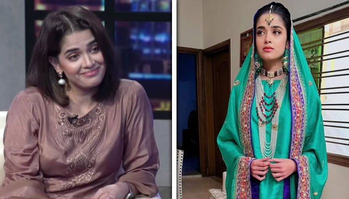 کولاج فوٹو: فائل