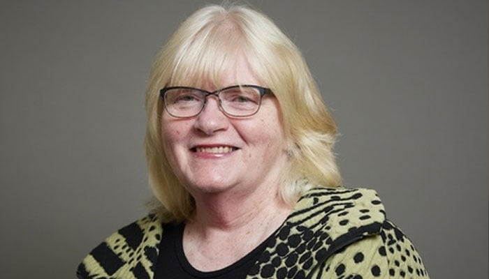 بیرو نیس شرلاک — فائل فوٹو