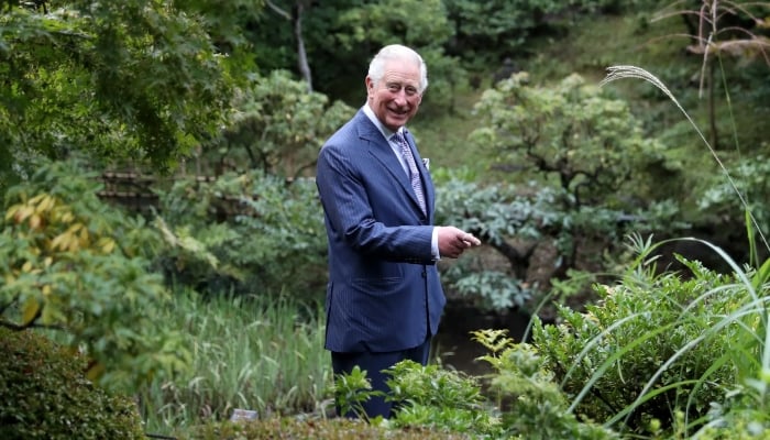 King Charles 77th birthday: 7 fascinating facts about His Majesty you need to know