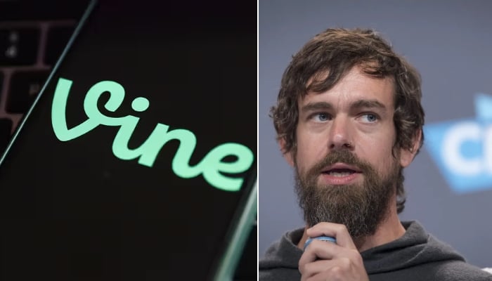Vine reboot: Twitter co-founder leads diVine launch