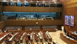 سینیٹ: آرمی ایکٹ ترمیمی بل کثرت رائے سے منظور