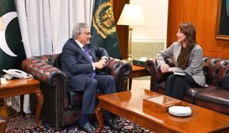 اسحاق ڈار سے امریکی ناظم الامور کی ملاقات، اقتصادی و سرمایہ کاری تعاون بڑھانے پر گفتگو