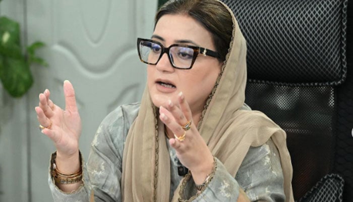 ---فائل فوٹو