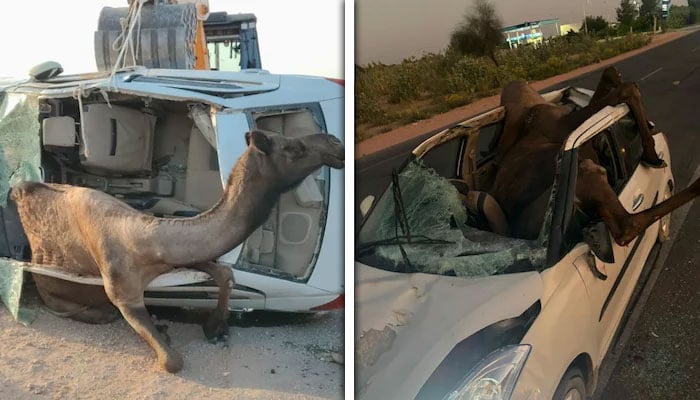 تصاویر:بھارتی میڈیا