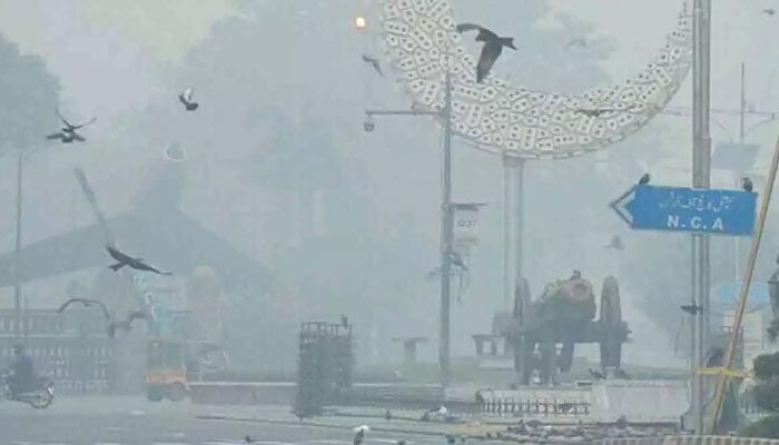 فوٹو بشکریہ سوشل میڈیا