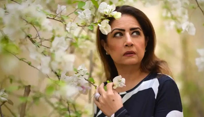 دانش تیمور جتنے خوبصورت ہیں، اتنی ہی کثرت سے مجھے ان کی ماں کا کردار دیا جاتا ہے، عتیقہ اوڈھو - فائل فوٹو