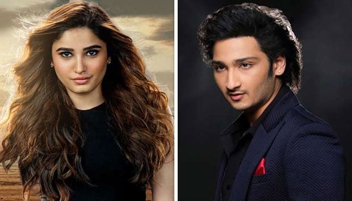 راشا تھاڈانی کا فلم انڈسٹری میں ڈیبیو کس کے ساتھ؟