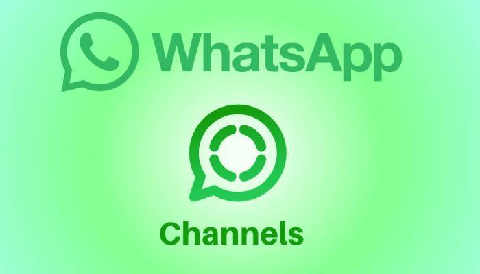WhatsApps new feature now allows channel admins to personlize notifications