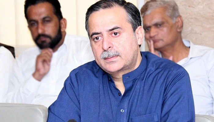 وفاقی وزیرِ بحری امور محمد جنید انوار چوہدری-فائل فوٹو