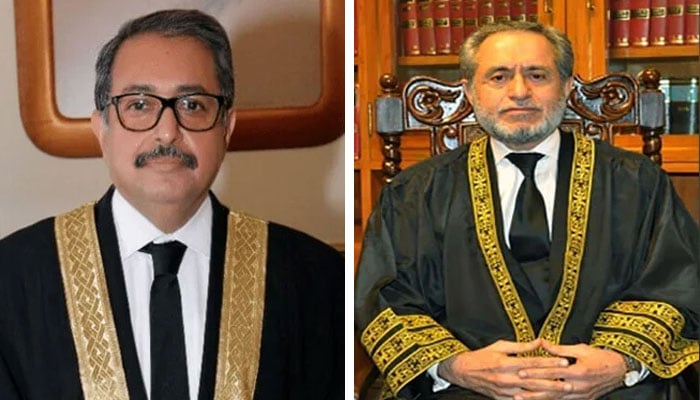 ---فائل فوٹوز