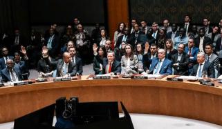 سلامتی کونسل میں صدر ٹرمپ کے غزہ منصوبے کی حمایت میں قرارداد منظور