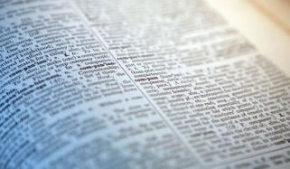 پیرا سوشل ورڈ آف دی ایئر قرار، اس کا مطلب کیا ہے؟