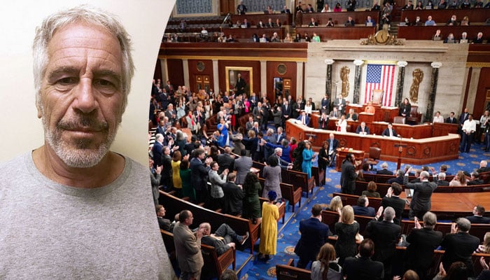 جیفری ایپسٹین کی مزید دستاویزات جاری کرنے کا بل منظور