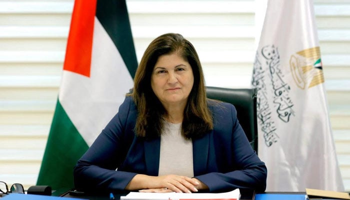 فلسطینی وزیر خارجہ ورسن آغابیکیان شاہین—تصویر بشکریہ غیر ملکی میڈیا