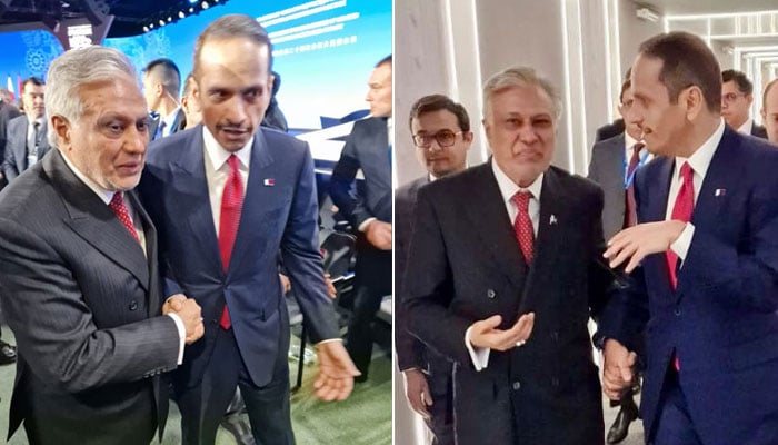 فوٹو: اسکرین گریب