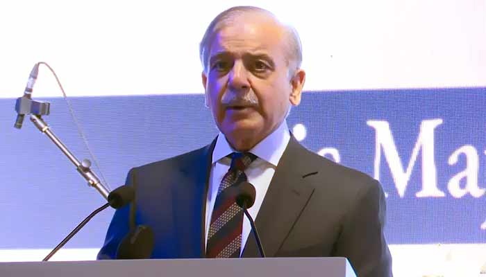 تصویر بشکریہ، شہباز شریف فیس بک