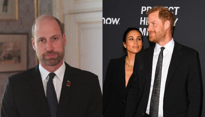 Prince Harry’s royal future in William’s hands amid Meghans career choices
