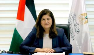 غزہ منصوبہ امن کی جانب پہلا قدم ہے، فلسطین