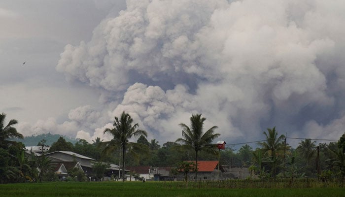 فوٹو: سوشل میڈیا