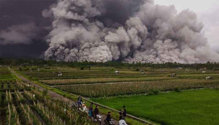 —تصویر بشکریہ سوشل میڈیا