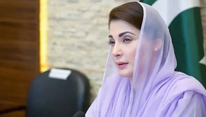 وزیرِ اعلیٰ پنجاب مریم نواز—فائل فوٹو