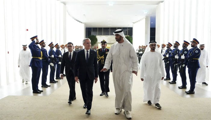 تصویر سوشل میڈیا۔