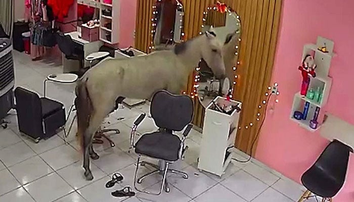 —تصویر بشکریہ غیر ملکی میڈیا