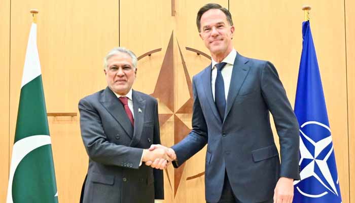 فوٹو: سوشل میڈیا، دفتر خارجہ