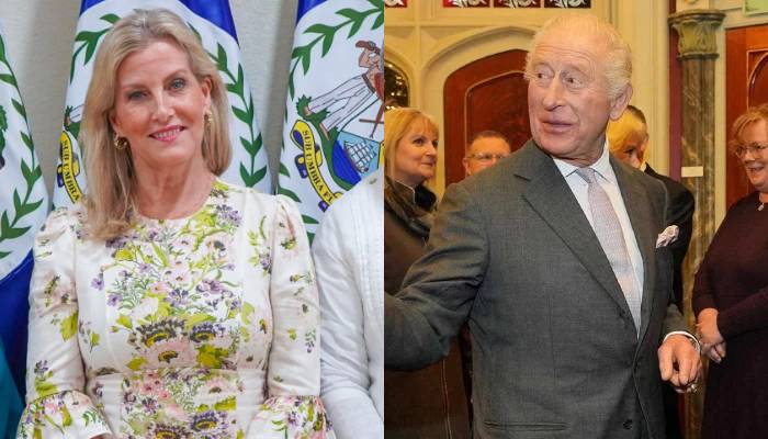 Duchess Sophie delivers poignant message on King Charles’ behalf