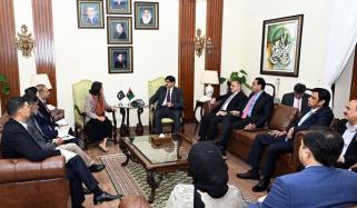 وزیراعلیٰ سندھ سے اے ڈی بی کی کنٹری ڈائریکٹر کی ملاقات، ترقیاتی منصوبوں کا جائزہ
